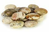 1.8" Petrified Wood Pocket Stones  - Photo 3